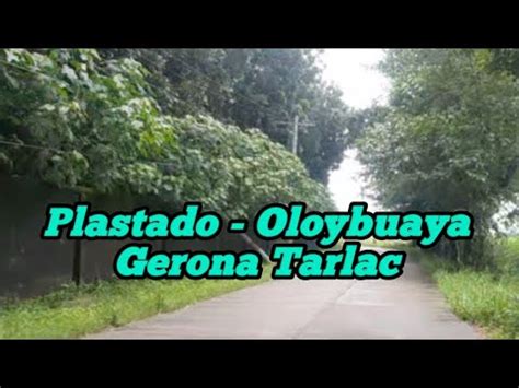 plastada in tagalog|plastado .